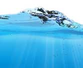 Window Cleaners Bromley, Pure Water Window Cleaning